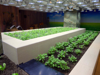 Illustration for article titled An Urban Farm In the Most Unlikely Location: A Shanghai Mall
